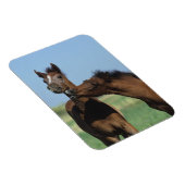 フォル遊ス2 マグネット (右側)