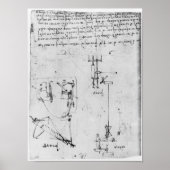 フォル。46v、Codex Forster III、1480s-1494から ポスター (正面)