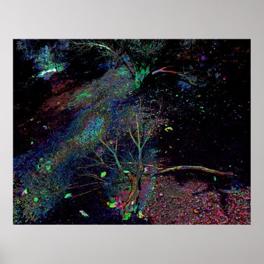 フォレサイケデリックスト… ポスター (正面)