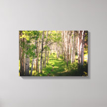 フォレストのパスの遅延春