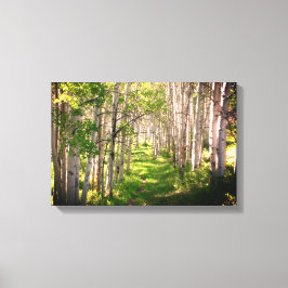 フォレストのパスの遅延春 キャンバスプリント