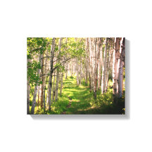 フォレストのパスの遅延春