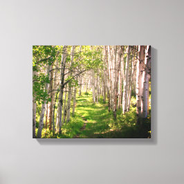 フォレストのパスの遅延春 キャンバスプリント