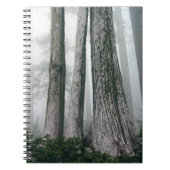 フォレストの呼び出し ノートブック (正面)