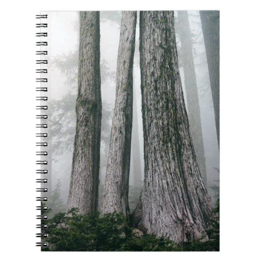 フォレストの呼び出し ノートブック (正面)