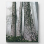 フォレストの呼び出し フォトプラーク (正面)