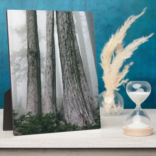 フォレストの呼び出し フォトプラーク (側面)