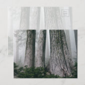 フォレストの呼び出し ポストカード (正面/裏面)