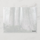 フォレストの呼び出し ポストカード (裏面)