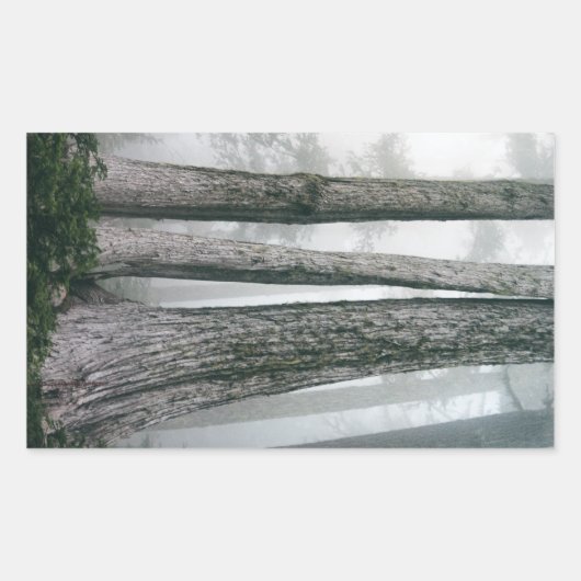 フォレストの呼び出し 長方形シール (正面)