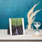 フォレストの影 フォトプラーク (インサイチュ)