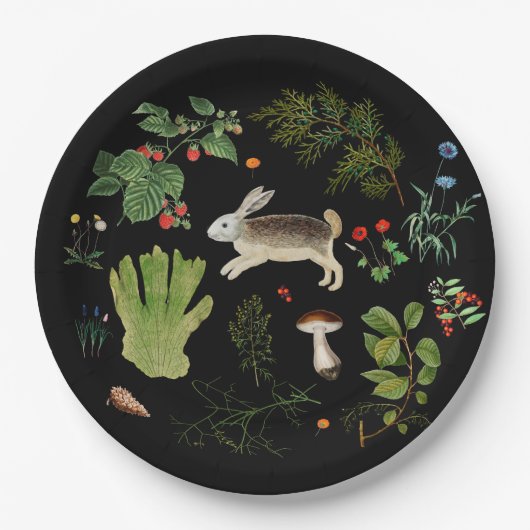 フォレストの秘密紙プレート ペーパープレート (正面)