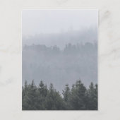 フォレストの自然写真 ポストカード (正面)