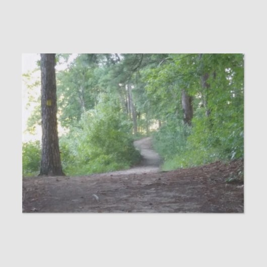 フォレストを通るパス 薄葉紙 (正面)