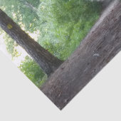 フォレストを通るパス 薄葉紙 (詳細)