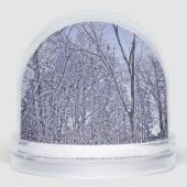 フォレストアットトワイライト (正面)