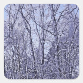 フォレストアットトワイライト スクエアシール (正面)