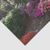 フォレストアンドフラワーズティッシュペーパー 薄葉紙 (詳細)