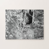 フォレストウィズホワイトテールディアーパズル ジグソーパズル (横)