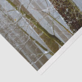 フォレストウィンター12デコページティッシュペーパー 薄葉紙 (詳細)