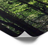 フォレストウェイ ポスター (角)