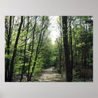 フォレストウェイ ポスター