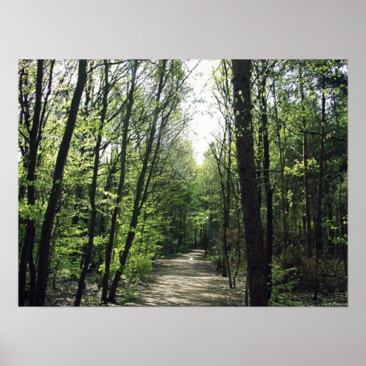 フォレストウェイ ポスター (正面)