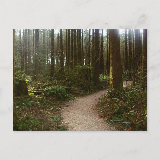 フォレストウォーク ポストカード (正面)