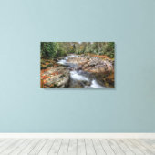 フォレストウォーターフォール キャンバスプリント (インサイチュ (ウッドフロア))