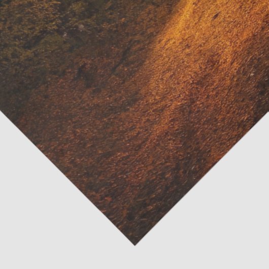 フォレストオータム11デクページティッシュペーパー 薄葉紙 (詳細)