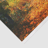 フォレストオータム12デクページティッシュペーパー 薄葉紙 (詳細)