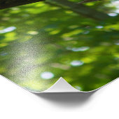 フォレストオーバーパス フォトプリント (角)