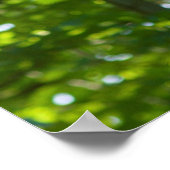 フォレストオーバーパス ポスター (角)