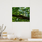 フォレストオーバーパス ポスター (キッチン)