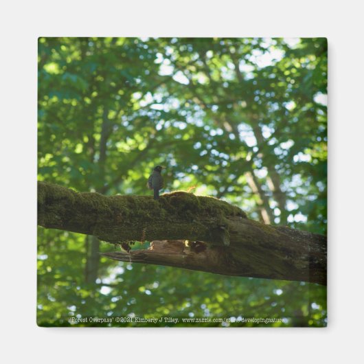 フォレストオーバーパス マグネット (正面)