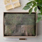 フォレストキャビン26デコページティッシュペーパー 薄葉紙 (ギフト)