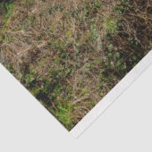 フォレストキャビン26デコページティッシュペーパー 薄葉紙 (詳細)