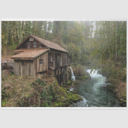 フォレストキャビン26デコページティッシュペーパー 薄葉紙 (正面)