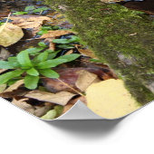 フォレストクリークのポスター ポスター (角)