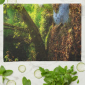 フォレストクリーク美しい自然景観写真 キッチンタオル (折り畳み)