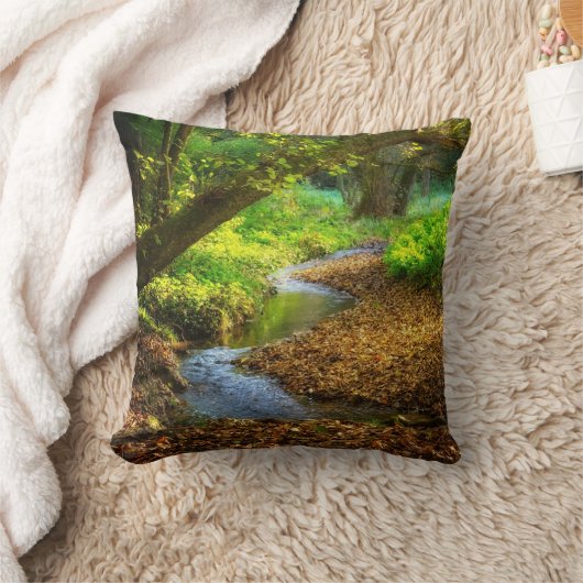 フォレストクリーク美しい自然景観写真 クッション (ブランケット)