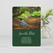 フォレストクリーク美しい自然景観写真 セーブザデート (スタンド正面)