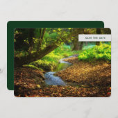 フォレストクリーク美しい自然景観写真 セーブザデート (正面/裏面)