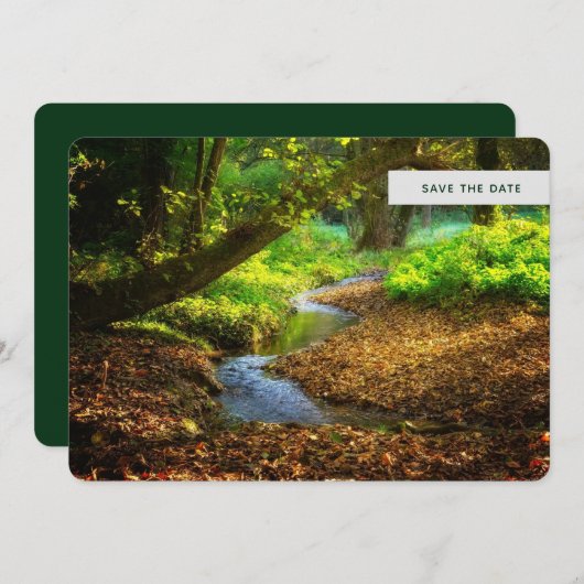 フォレストクリーク美しい自然景観写真 セーブザデート (正面/裏面)