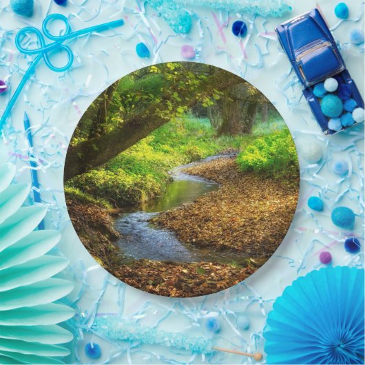 フォレストクリーク美しい自然景観写真 ペーパープレート (パーティー)