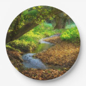 フォレストクリーク美しい自然景観写真 ペーパープレート (正面)