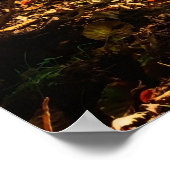 フォレストクリーク美しい自然景観写真 ポスター (角)