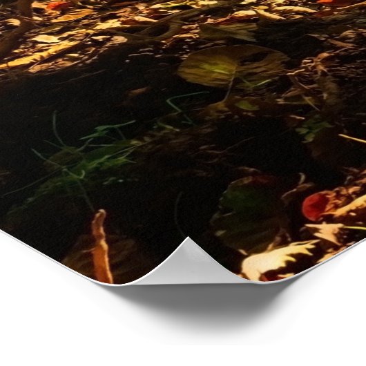 フォレストクリーク美しい自然景観写真 ポスター (角)