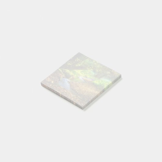 フォレストクリーク美しい自然景観写真 ポストイット (アングル)