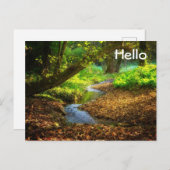 フォレストクリーク美しい自然景観写真 ポストカード (正面/裏面)